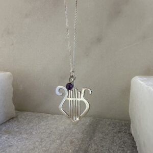 Γούρι 2025 για το λαιμό με ασήμι 925